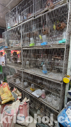 ৮টি খাচা বিক্র‍য় হবে ৪টি করে সাড়ি